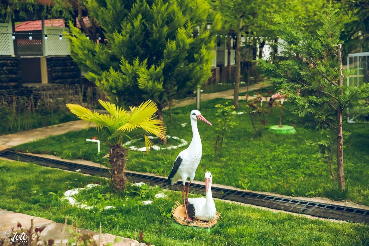 Su Sesi Hotel&Restorant Goygol Extérieur photo